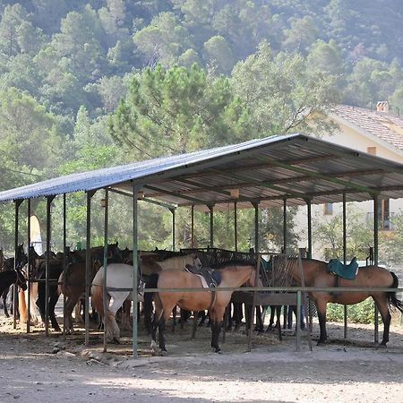 Alojamientos Rural Tejerina Arroyo Frio Εξωτερικό φωτογραφία