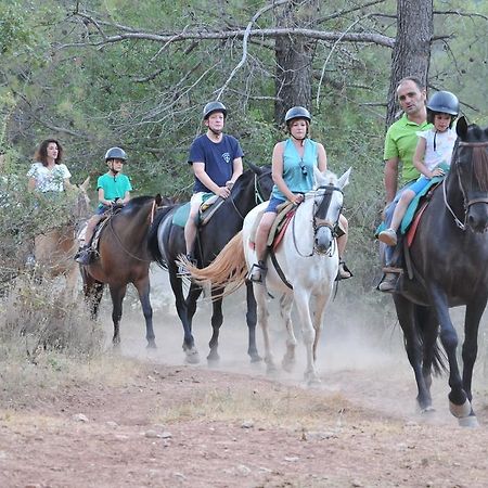 Alojamientos Rural Tejerina Arroyo Frio Εξωτερικό φωτογραφία