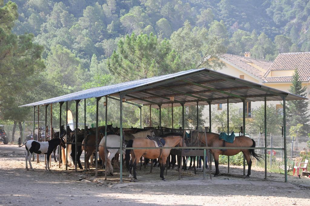 Alojamientos Rural Tejerina Arroyo Frio Εξωτερικό φωτογραφία