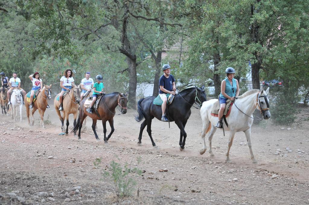 Alojamientos Rural Tejerina Arroyo Frio Εξωτερικό φωτογραφία