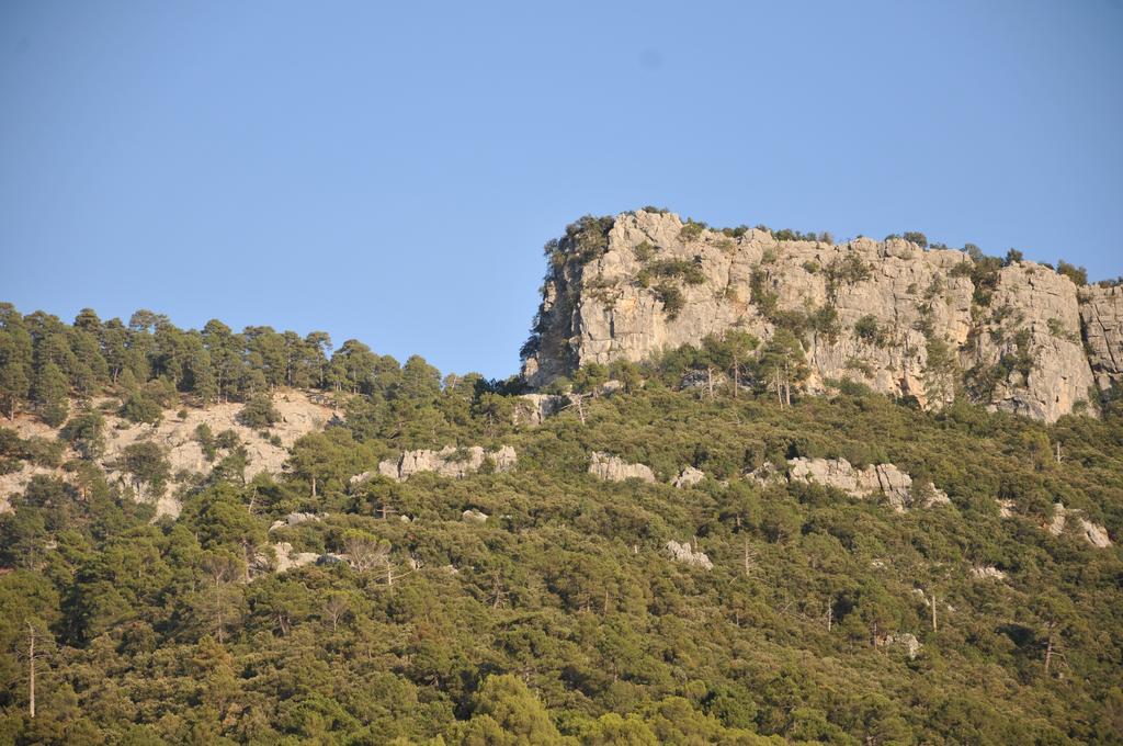 Alojamientos Rural Tejerina Arroyo Frio Εξωτερικό φωτογραφία