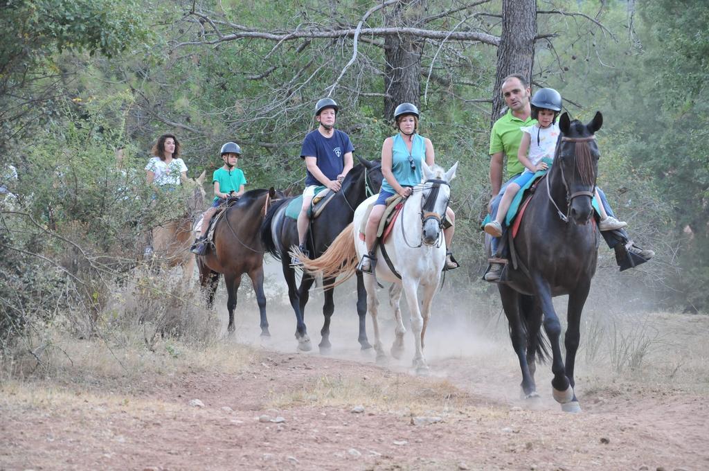 Alojamientos Rural Tejerina Arroyo Frio Εξωτερικό φωτογραφία