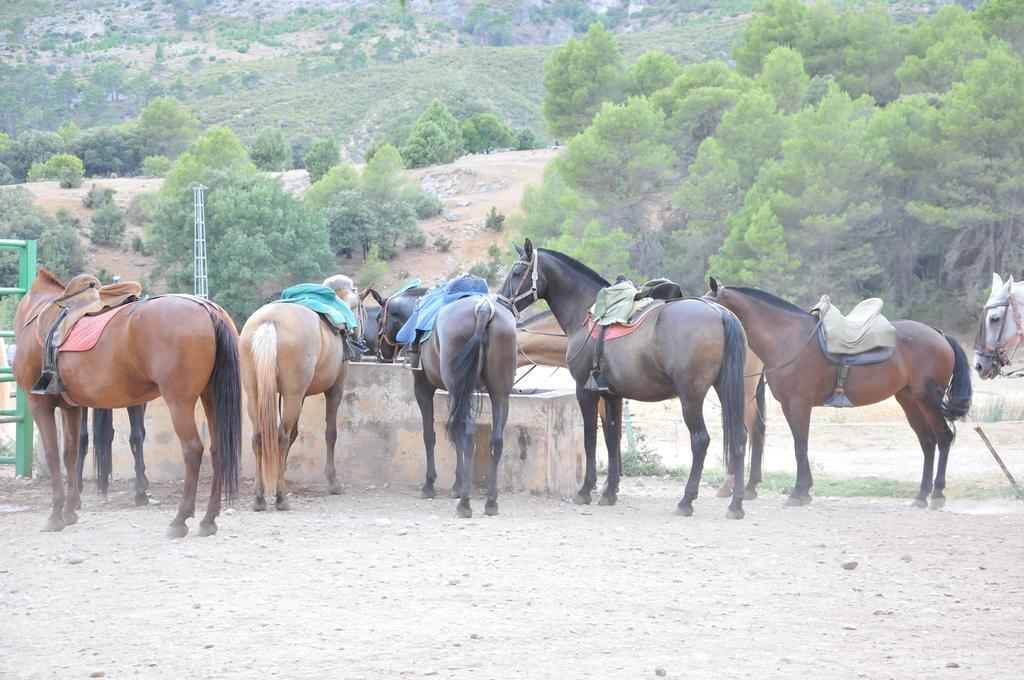 Alojamientos Rural Tejerina Arroyo Frio Εξωτερικό φωτογραφία